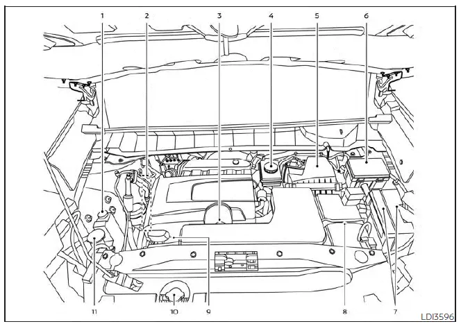 Nissan Pathfinder. Engine compartment check locations
