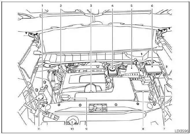 Nissan Pathfinder. Engine compartment check locations