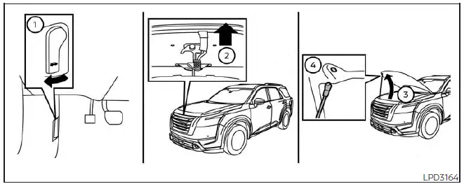 Nissan Pathfinder. Hood